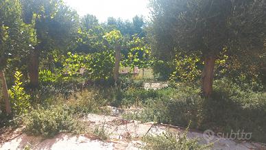 Casa con GIARDINO al POGGIO