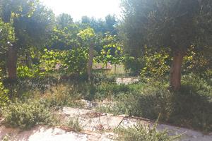 Casa con GIARDINO al POGGIO