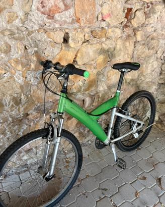 Bicicletta pininfarina