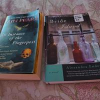 an istance of fingerpost