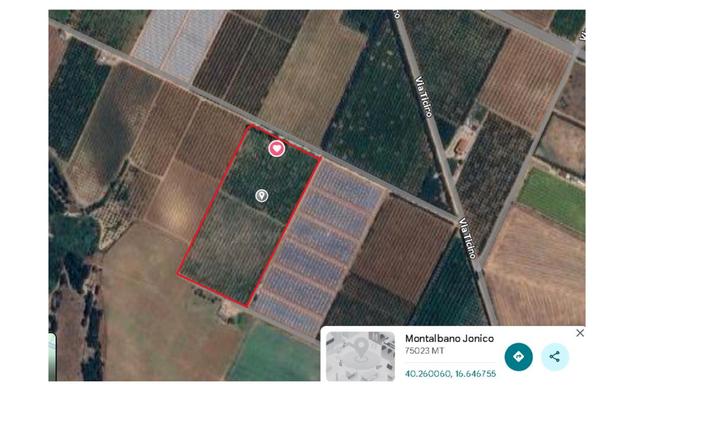 Terreno agricolo ad agrumeto