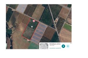 Terreno agricolo ad agrumeto