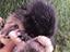 Immagine 1