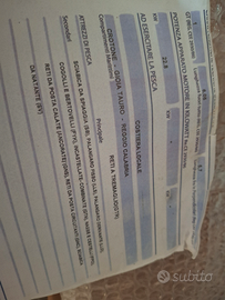 Barca con licenza da pesca