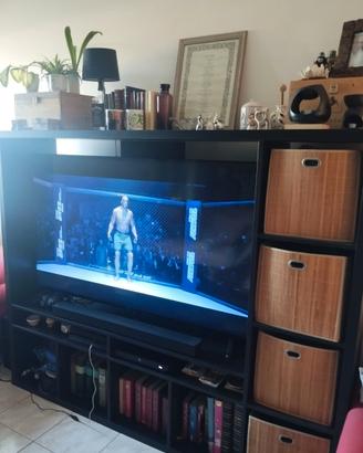 mobile porta tv