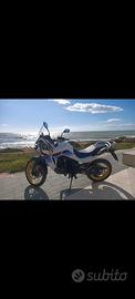 Honda Transalp XL750 solo 7.000 km