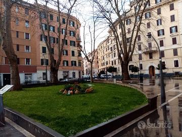 Bicamere x studenti zona Appio ponte lungo