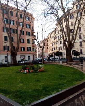 Bicamere x studenti zona Appio ponte lungo