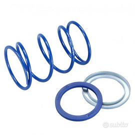 Molla contrasto Evo Slider Polini 243092 per scoot