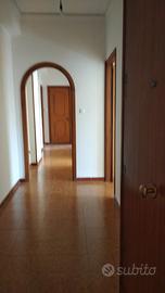 Luminoso e accogliente libero dal primo luglio