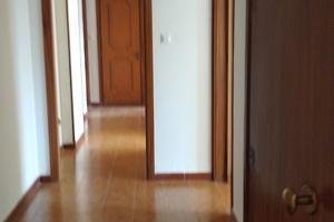 Luminoso e accogliente libero dal primo luglio