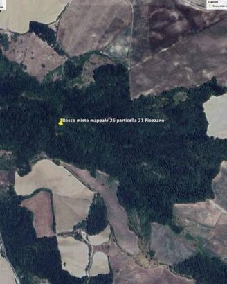Immobile in asta di 24900 m² a Piozzano