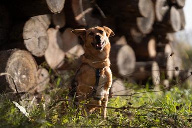 Mya aspetta una famiglia