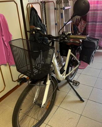 Bicicletta elettrica