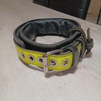 collare cane pelle alto 6cm vestibilità da 43 a 58