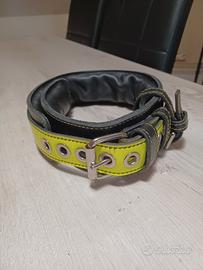 collare cane pelle alto 6cm vestibilità da 43 a 58