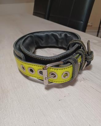 collare cane pelle alto 6cm vestibilità da 43 a 58