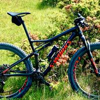 Specialized S-Works Epic Tg L