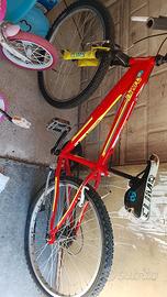 biciclette 
