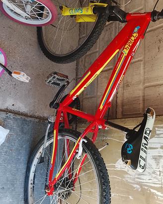 biciclette 