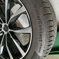 Continental Winter contact