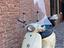 Immagine 6