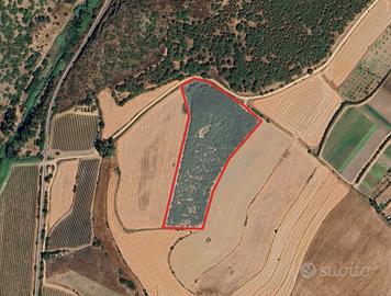 Terreno agricolo località Mitza Melas