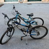 coppia di biciclette da adolescente 