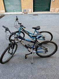 coppia di biciclette da adolescente 