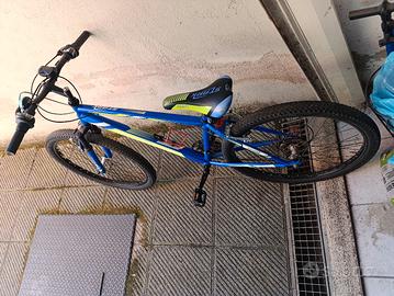 bicicletta ragazzo 26