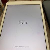 iPad Mini 16GB funzionante
