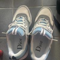 scarpe dior b22