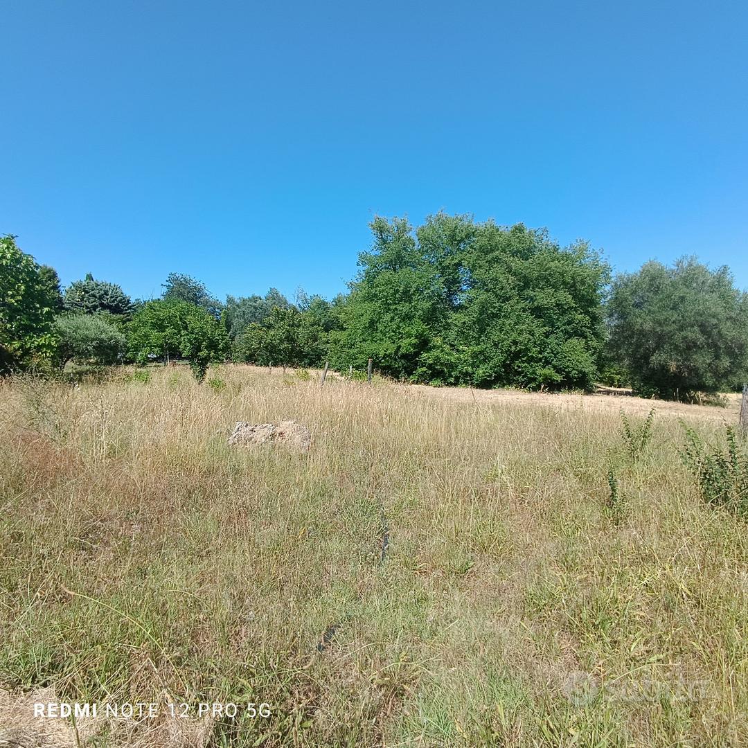 TERRENO EDIFICABILE PER SINGOLA VILLETTA - Vista 4