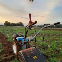 Motocoltivatore Bartolini 405S