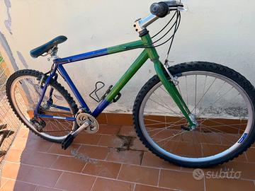 bicicletta