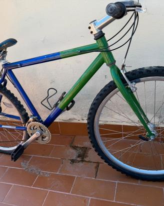 bicicletta