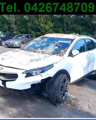 Ricambi usati KIA XCEED 1.0 T-GDi BENZ. 88Kw- G3LC