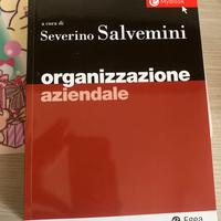 organizzazione aziendale salvemini