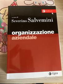 organizzazione aziendale salvemini