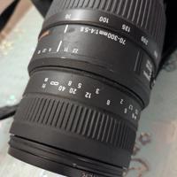 Sigma 70-300 macro