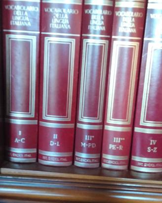 Vocabolario lingua italiana