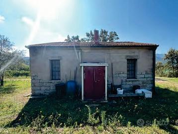 RGE 209/2021 Trib Tempio Pausania - LOTTO 6