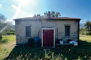 RGE 209/2021 Trib Tempio Pausania - LOTTO 6