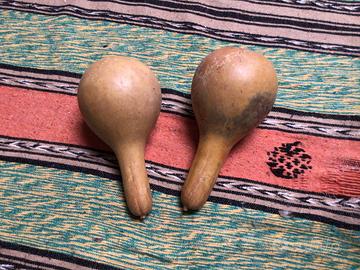 Coppia maracas provenienti dal Brasile