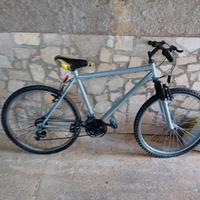 bici Mountain bike 