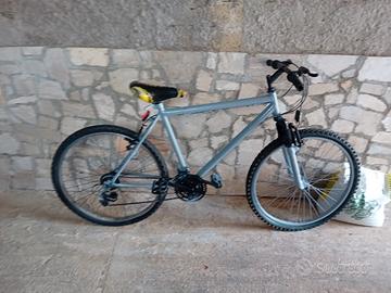 bici Mountain bike 