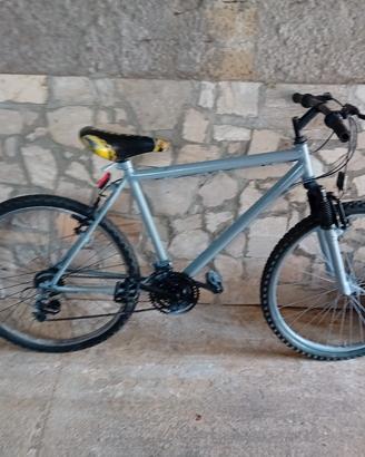 bici Mountain bike 