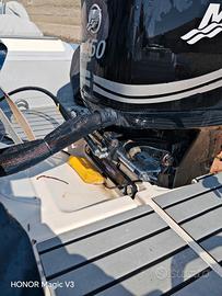 Mercury optimax 150 efi