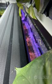 Plafoniera acquario 120 cm 90watt
