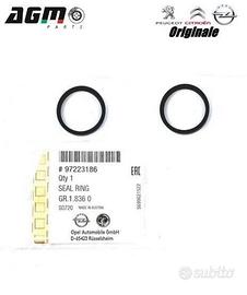 Kit Guarnizioni Per Radiatore Dell'olio DR.MOTOR AUTOMOTIVE DRM0549S - Compatibile Con Opel Astra J, Corsa D, Insignia E Altri Modelli